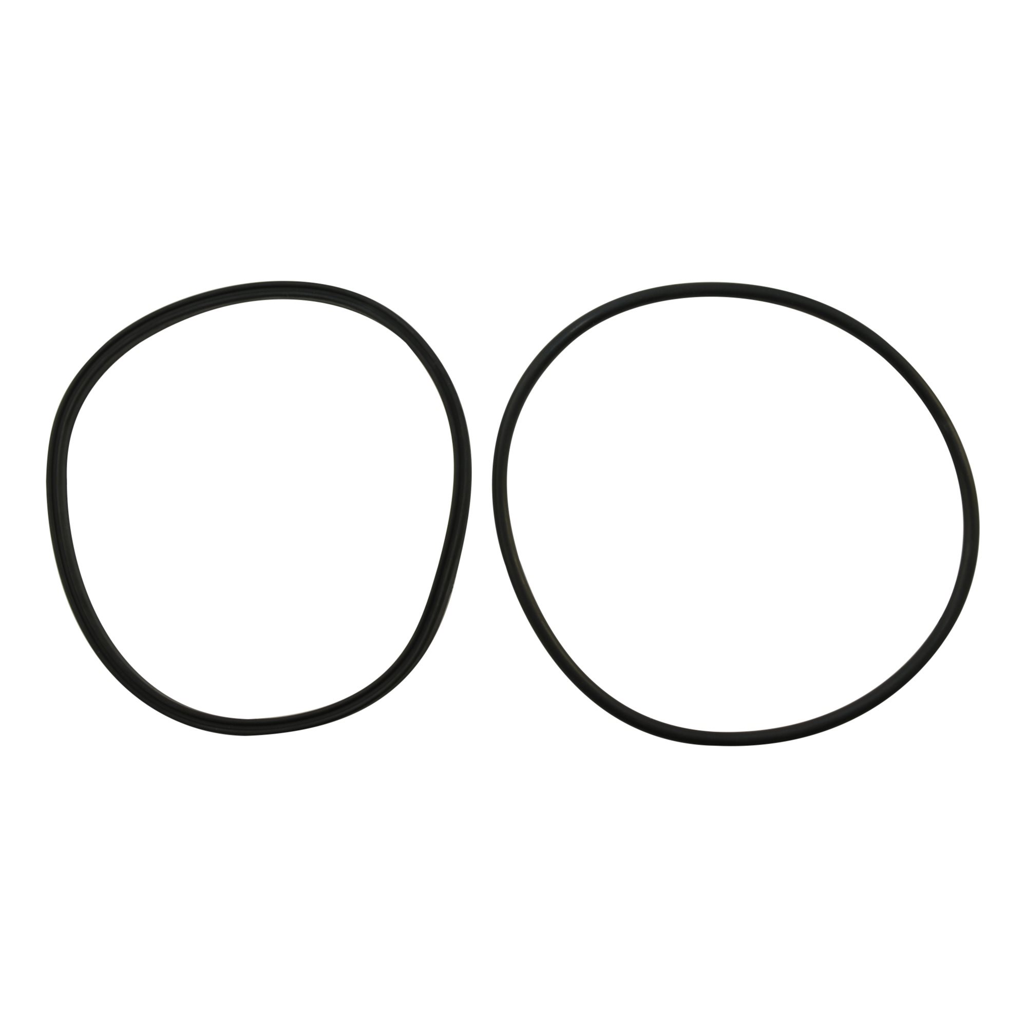 Jandy R0446200 Lid Seal & O-Ring