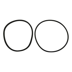 Jandy R0446200 Lid Seal & O-Ring