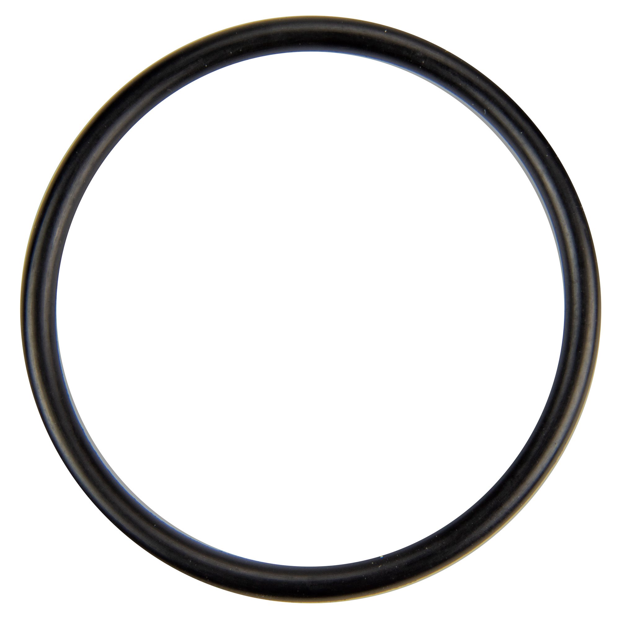 Pentair U9-226 O-Ring Diffuser