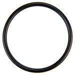 Pentair U9-226 O-Ring Diffuser