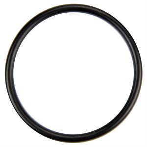 Pentair U9-226 O-Ring Diffuser