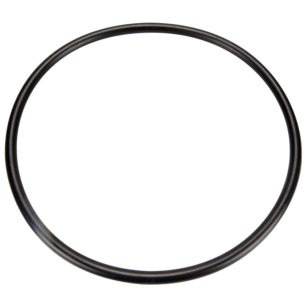 Pentair 35505-1246 Index Plate O-Ring - Foto 2
