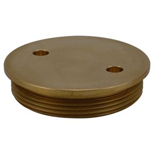 Paragon 38203 Threaded Stanchion Socket Cover
