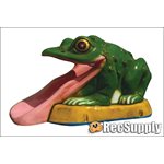 Themed Kiddie Pool Slide