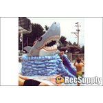 Themed Kiddie Pool Slide