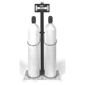 DMS302 Dual Cylinder Scale