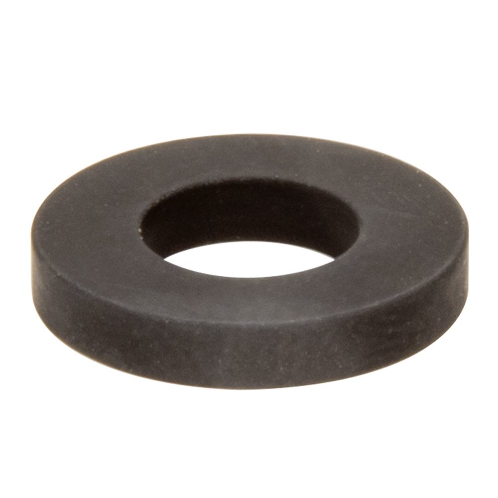 Pentair R172033 Rubber Gasket