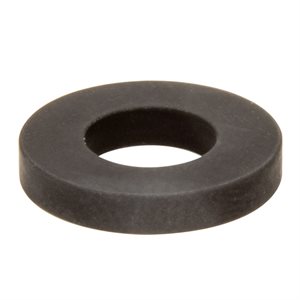 Pentair R172033 Rubber Gasket