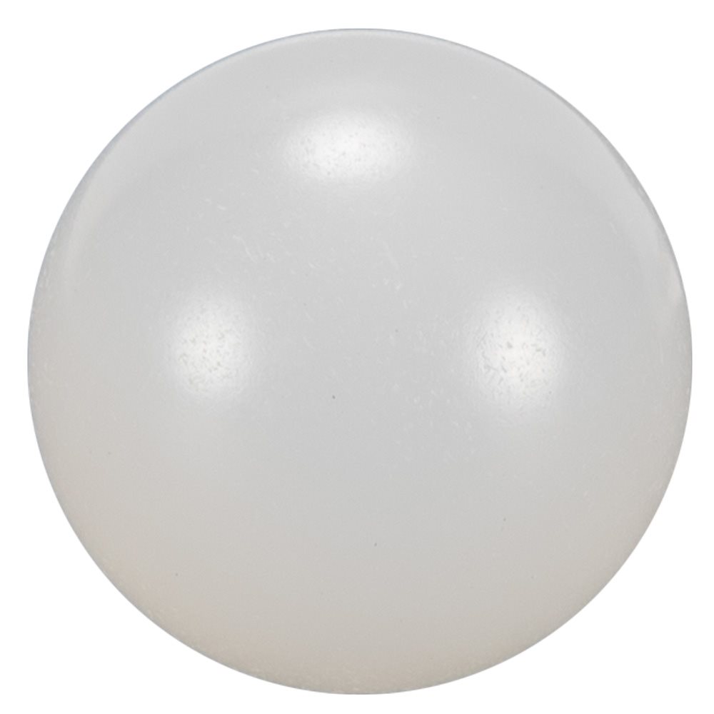Pentair Parts R172435 Check Ball