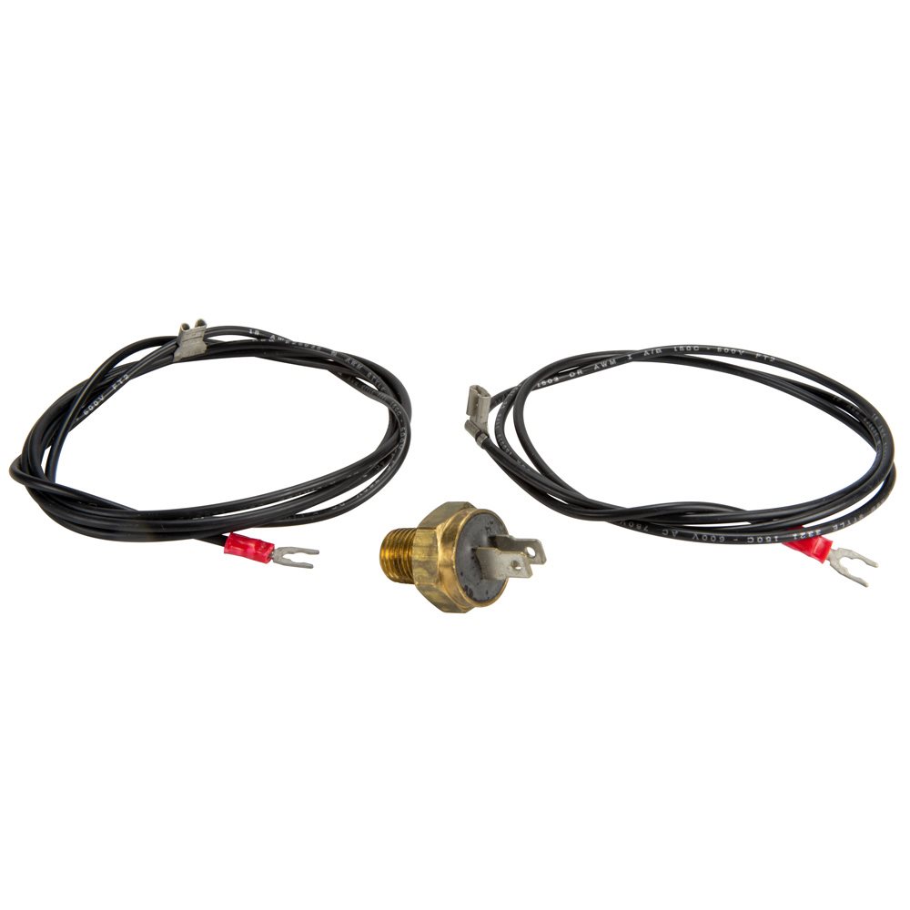 Raypak 600893B High Limit