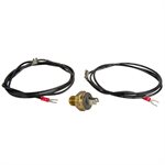 Raypak 600893B High Limit
