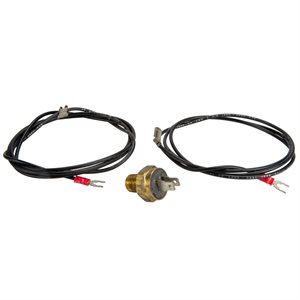 Raypak 600893B High Limit