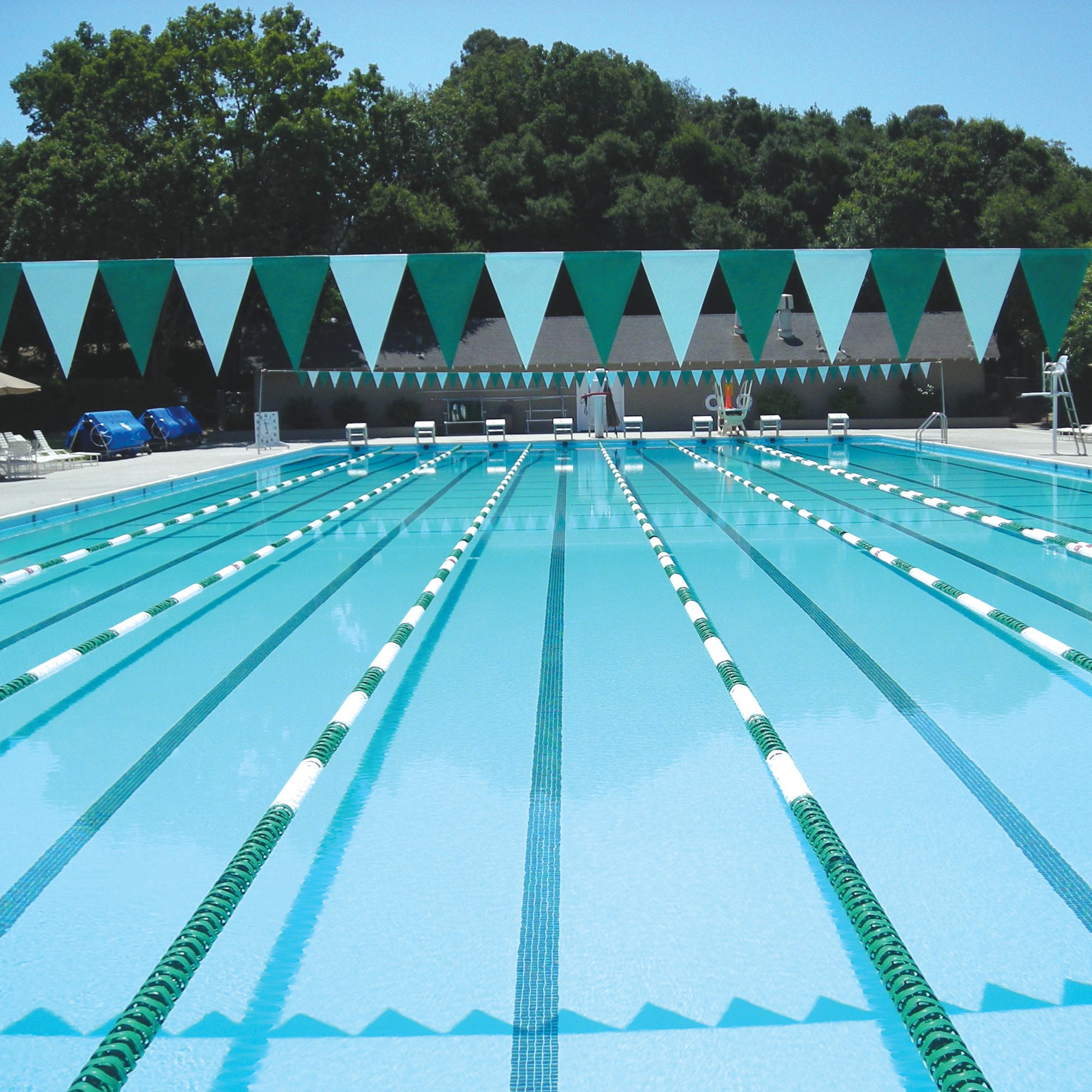 Champion Standard Pennant Line, 61 ft (Specify Color)