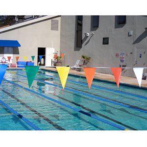 Champion Standard Pennant Line, 50 ft., Multi-Colored