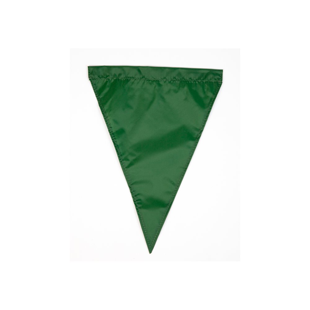 Competitor Backstroke Flag, 12 inch x 18 inch, Green