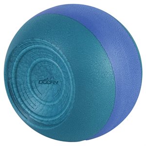 Dolfin Kickball