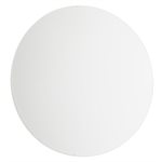Competitor 200304002 Flat Plexiglas Lens for 31" Pace Clock