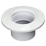 Pentair 542423 Wall Fitting, 2 in. Slip