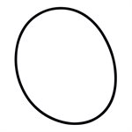 Sta-Rite U-3 Skimmer Parts, 35505-1273 Float O-Ring Only