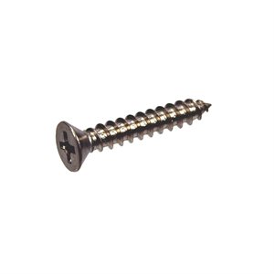 Pentair 37207-0430 Cover Plate Screw #8 x 1 in.
