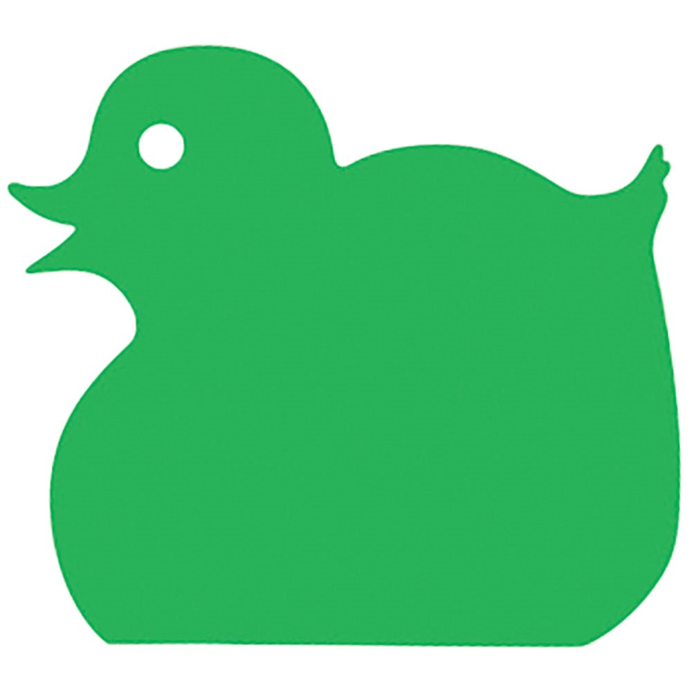 Foam Play Raft, Duck, Green
