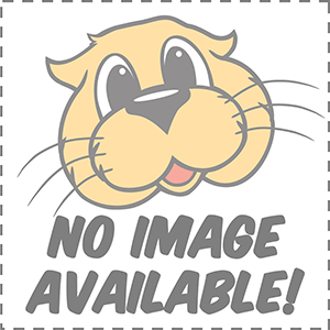 Uncategorized Items